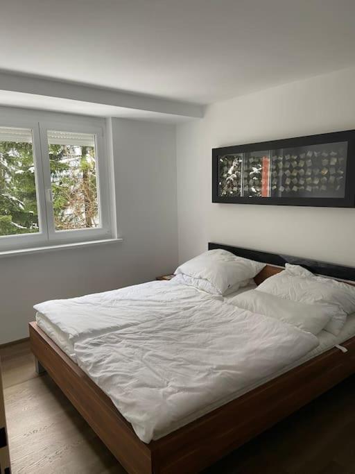 Seewohnung Mit Direktem Seezugang-Skiliftnaehe Villach Exteriör bild